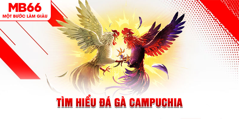 99kl đá gà trực tiếp
